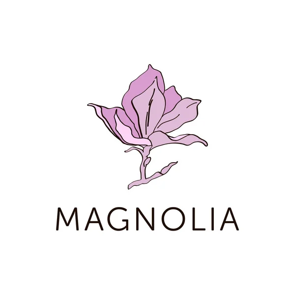 Bosquejo de flores de Magnolia coloreado en rosa v.4 — Vector de stock