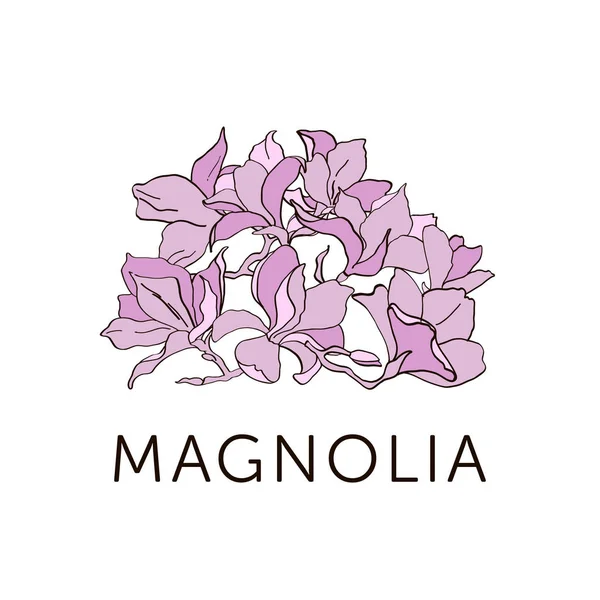 Bosquejo de flores de Magnolia coloreado en rosa. Cada flor es un objeto separado — Vector de stock