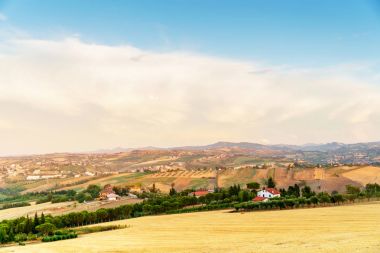 Buğday alanları Emilia Romanya bölgesinde, İtalya.
