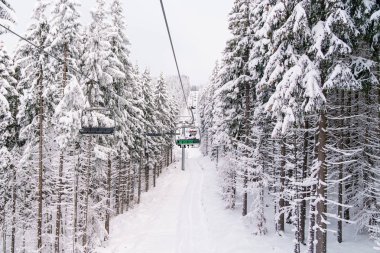 Ski lift kış orman beyaz köknar ağaçlarıyla.
