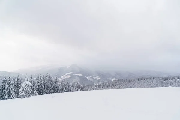 ピークと雪に覆われた森と冬の山の風景 — ストック写真