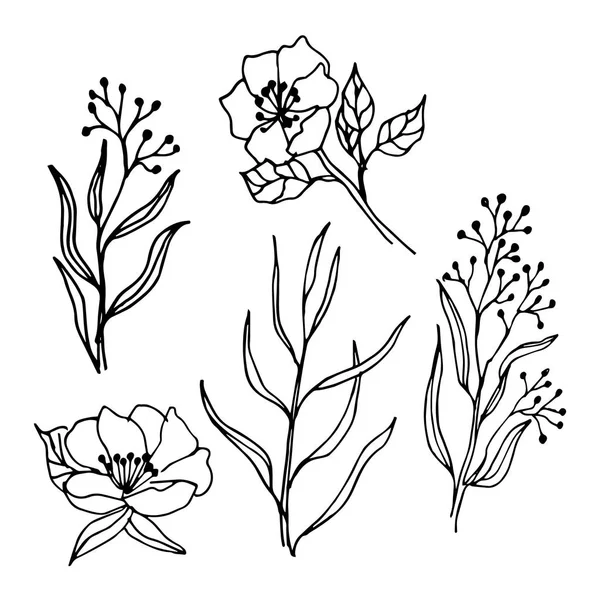 Весняні Квіти Гілки Набір Малюнків Лінії Мистецтва — стоковий вектор