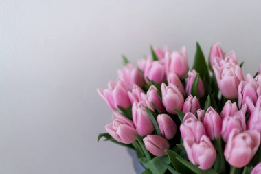 Kopya alanı sol tarafında ile beyaz bir arka plan üzerinde yumuşak pembe lale buketi.
