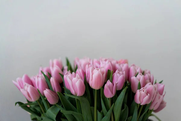 Manojo Suaves Tulipanes Rosados Sobre Fondo Blanco Con Espacio Copia — Foto de Stock