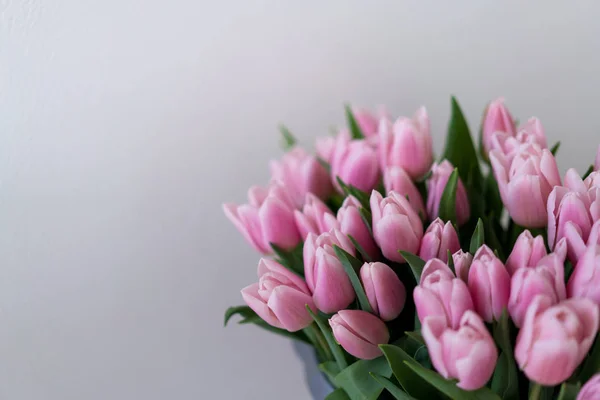 Strauß Weicher Rosa Tulpen Auf Weißem Hintergrund Mit Kopierraum Auf — Stockfoto
