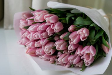 İlk Lale bir demet yumuşak pembe hassasiyet.