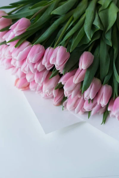 Bunch of fresh cut tulips laying on white background.