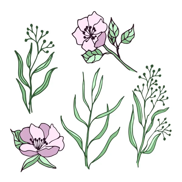 Frühlingsblumen Und Blätter Reihe Von Zeichnungen Ideal Für Den Einsatz — Stockvektor