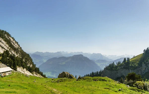 Paisagem Alpina Com Prado Verde Montanhas Perto Luzern Suíça — Fotografia de Stock