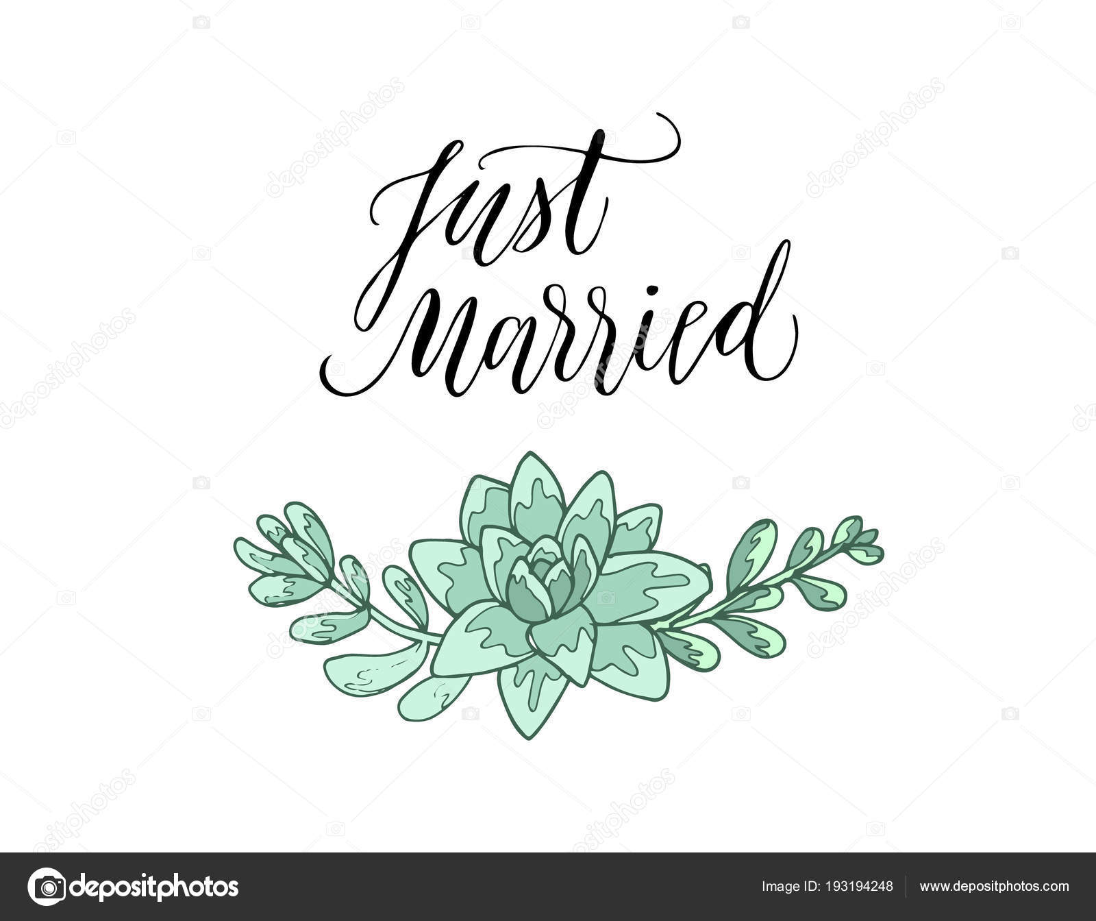 Just Married Calligraphy Hand Drawn Succulent Flowers Vector Image By C Julija Grozyan Vector Stock 193194248 https depositphotos com 193194248 stock illustration just married calligraphy hand drawn html