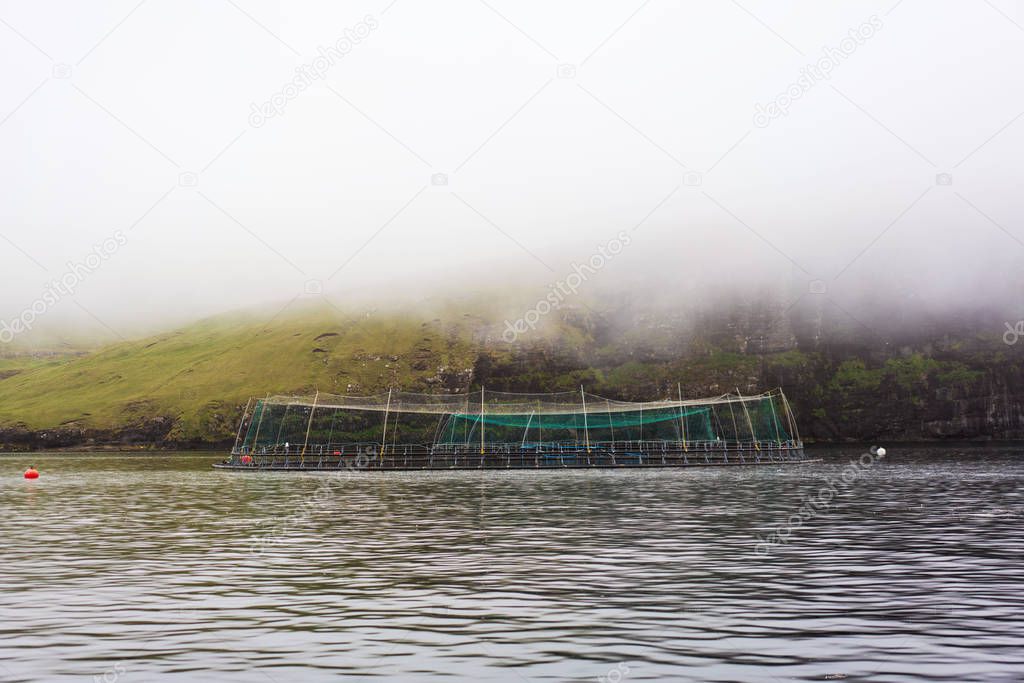 Fish farm in a bay near coastline of Vagar village, Faroe Islands.  Green hills covered with thick fog on background.