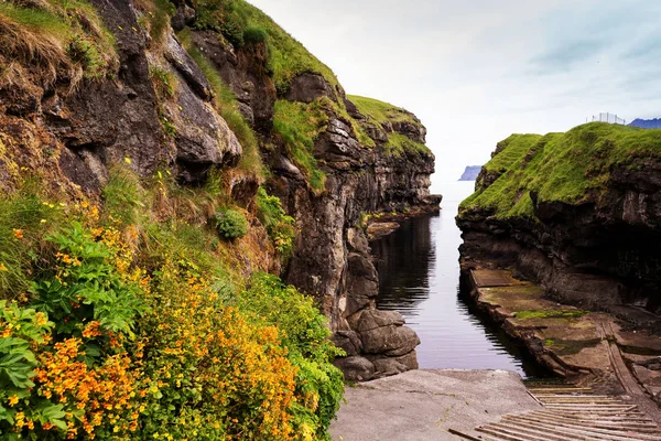 Fjord Med Båtsluttning Gjogv Nordiska Blommor Förgrunden — Stockfoto