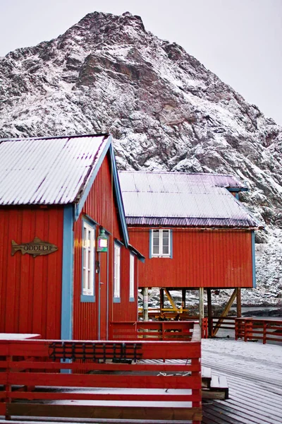 Fisherman Red Rorbu Houses Lofoten Islands Snowy Mountain Horizon — 스톡 사진