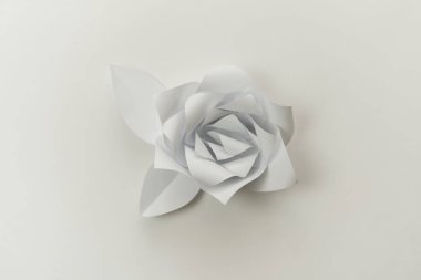 Beyaz kağıttan çiçek, beyaz arkaplanda yakın plan fotoğrafı..