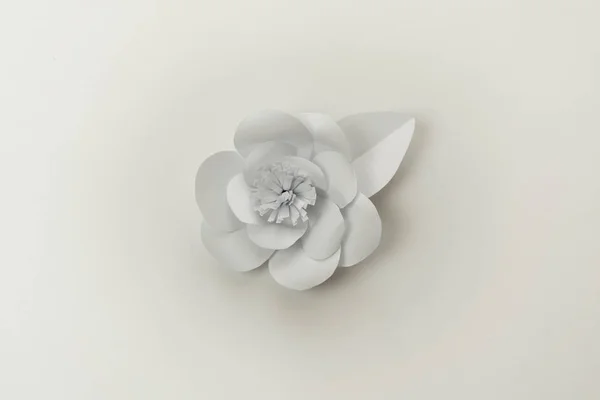 Zarte Weiße Papierblume Aus Nächster Nähe Foto — Stockfoto