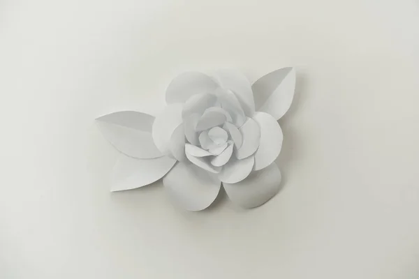 Minimalistyczny Biały Kwiat Liśćmi Bliska Zdjęcie — Zdjęcie stockowe