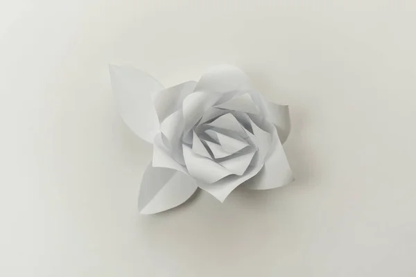 Valkoinen Paperi Kukka Lähikuva Kuva Valkoisella Taustalla — kuvapankkivalokuva
