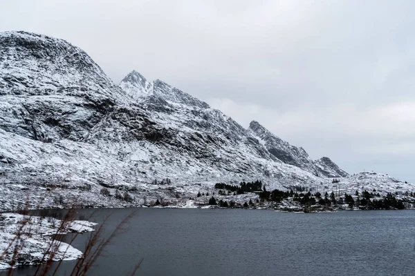 Bergen Bedekt Met Verse Sneeuw Een Fjord Lofoten Eilanden Natuur — Stockfoto