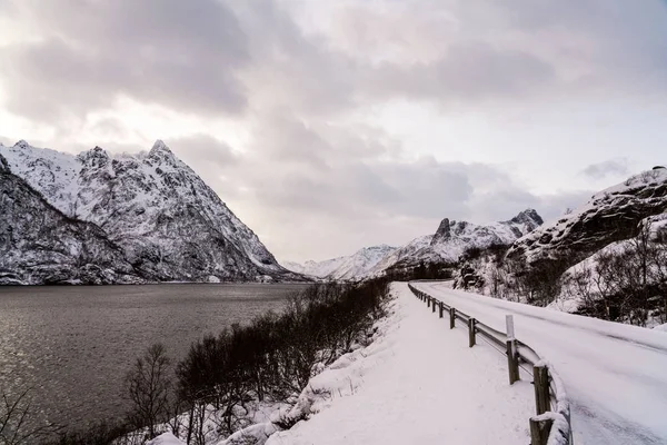 Weg Bij Een Fjord Met Bergen Winterlandschap Van Lofoten Eilanden — Stockfoto