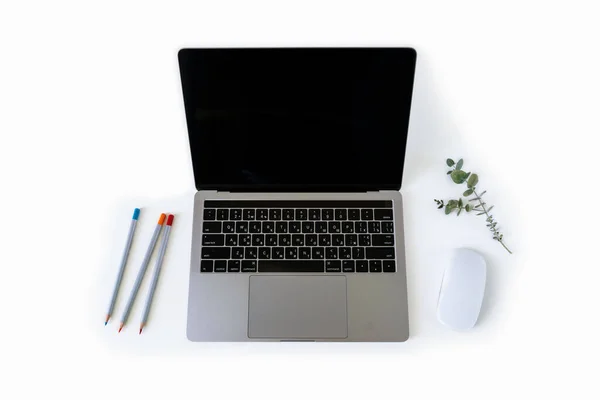 Otwierany Laptop Biurku Myszą Liściem Eukaliptusa Kolorowymi Ołówkami Izolowanymi Białych — Zdjęcie stockowe