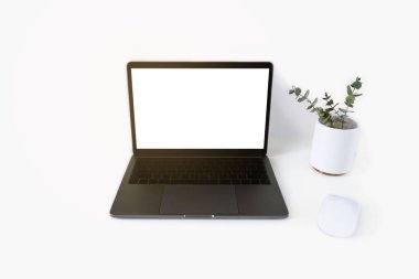 Dizüstü bilgisayarlı ve fareli yaratıcı çalışma masası, kalemler ve okaliptüs dalı.