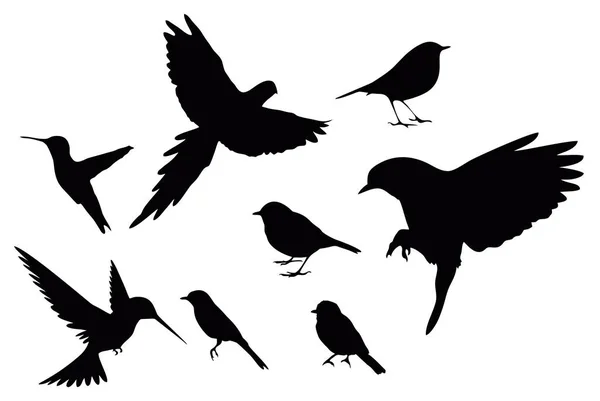 Silhuetas de pássaro conjunto ilustração — Fotografia de Stock