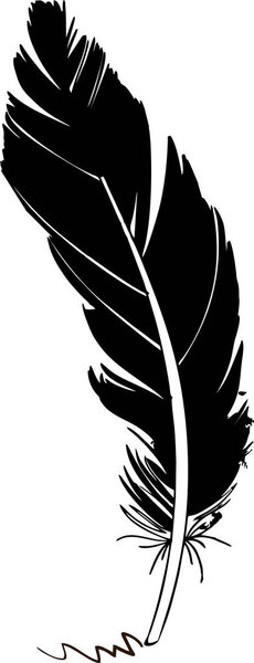 Feather-pen-illustration