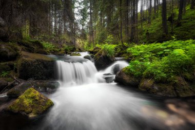 Şaşırtıcı şelale derin yeşil orman düşük Tatras Milli Parkı, Slovak Cumhuriyeti, büyük kayalar arasında akan.