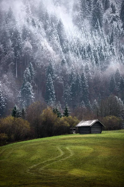 Floresta de Geroldsee durante o dia de outono com a primeira neve e nevoeiro sobre árvores, Alpes da Baviera, Baviera, Alemanha . — Fotografia de Stock