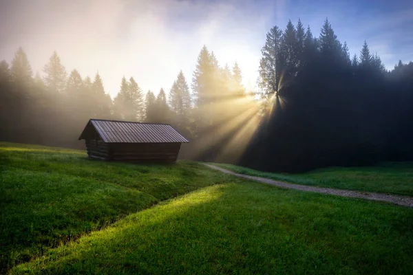 夏の日、バイエルン ・ アルプス、ババリア、ドイツの木の美しい霧日の出中 Geroldsee フォレスト. — ストック写真