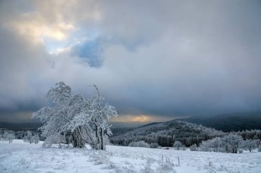 Soğuk kış günü sırasında tipik karlı manzara Ore Mountains, Çek Cumhuriyeti.