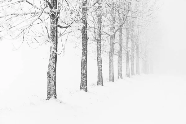 Paisagem nevada típica durante o frio dia de inverno em montanhas de minério, República Checa . — Fotografia de Stock