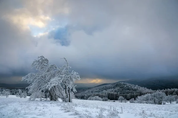 Typical snowy landscape during cold winter day in Ore Mountains, Czech republic.