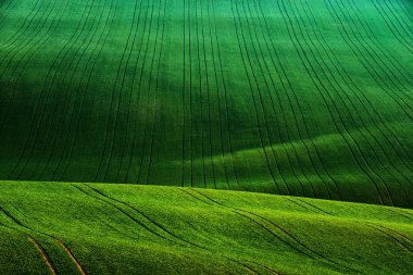 South Moravian alan bahar, Çek Cumhuriyeti sırasında ayrıntı sahne.