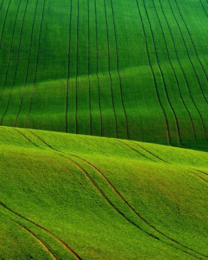 South Moravian alan bahar, Çek Cumhuriyeti sırasında ayrıntı sahne.