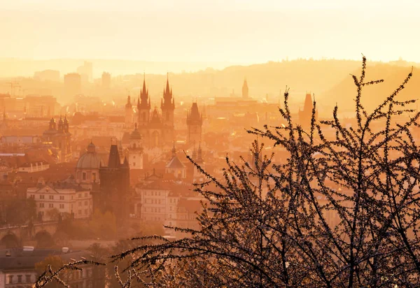 Våren på Prag, Tjeckien. — Stockfoto