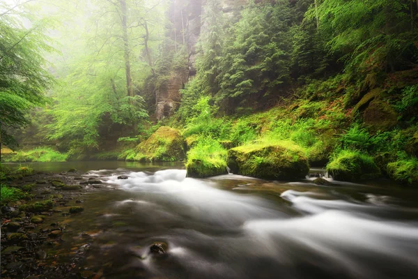 Temporada de otoño lluvioso. Vista del río en Edmund Gorge del Parque Nacional de la Suiza de Bohemia, República Checa — Foto de Stock