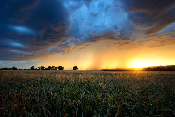 Fırtınalı yaz sezonunda. Dramatik fırtına üzerinden Prag, Çek Cumhuriyeti.