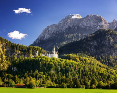 Neuschwanstein Şatosu doğal dağ manzarası yakınındaki Fussen, Bavyera, Almanya ile