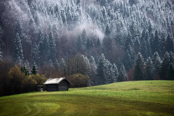 Bosque de Geroldsee durante el día de otoño con primera nieve y niebla sobre árboles, Alpes bávaros, Baviera, Alemania . — Foto de Stock