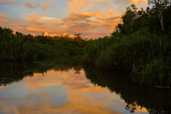 Nehir kenarında karanlık ağaçlar (Kumai, Endonezya turuncu bulutların üstünde mavi gökyüzünün yansıması)