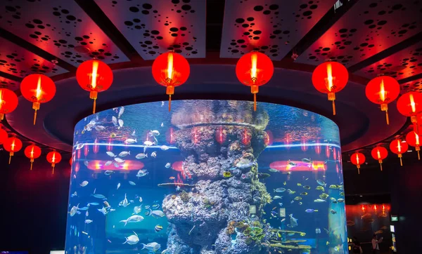 Daire Çin küresel kırmızı fener büyük akvaryum (Singapore çevresinde)