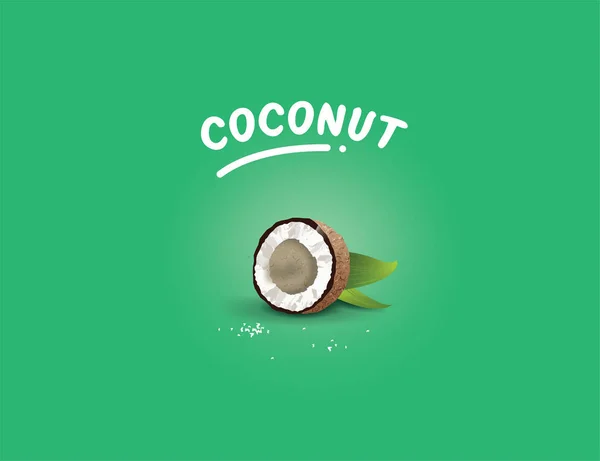 Illustration Vectorielle Réaliste Goût Noix Coco Pour Les Étiquettes Noix — Image vectorielle