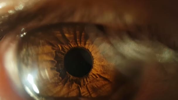 Людське око, дивлячись — стокове відео