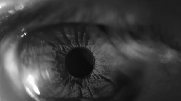 Macro footage of human eye — Stock Video