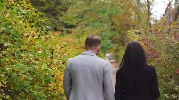 Pareja feliz caminando en el parque — Vídeo de stock