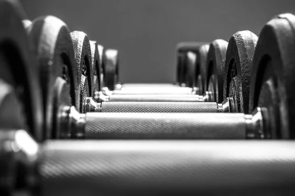 Ligne d'haltères dans la salle de gym — Photo