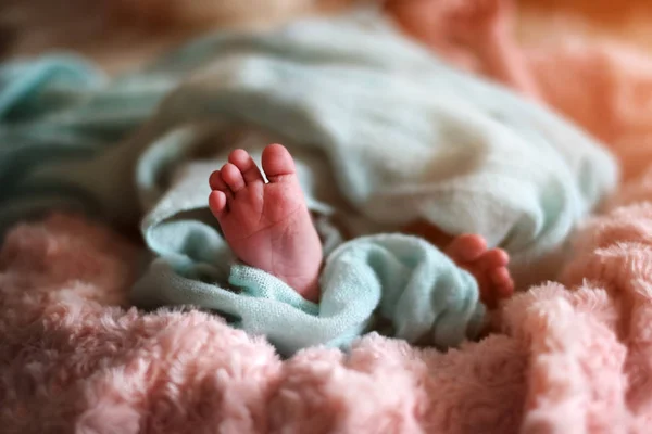 Cute newborn baby feet — Stock Photo, Image