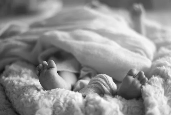 Niedliche neugeborene Babyfüße — Stockfoto