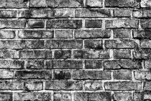 Eski tuğla duvar 